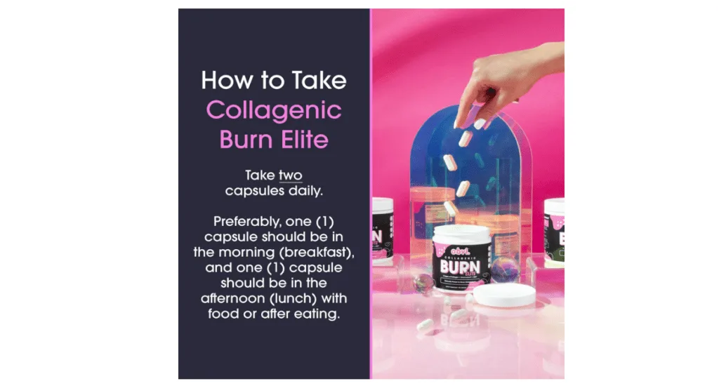 Obvi Burn Elite Capsules | Supports Metabolism Boost, Energy, and Focus | Supplement with Collagen and Green Tea | Supports Healthy Hair, Skin, Nails, and Joints | 60 Capsules, 30 Servings